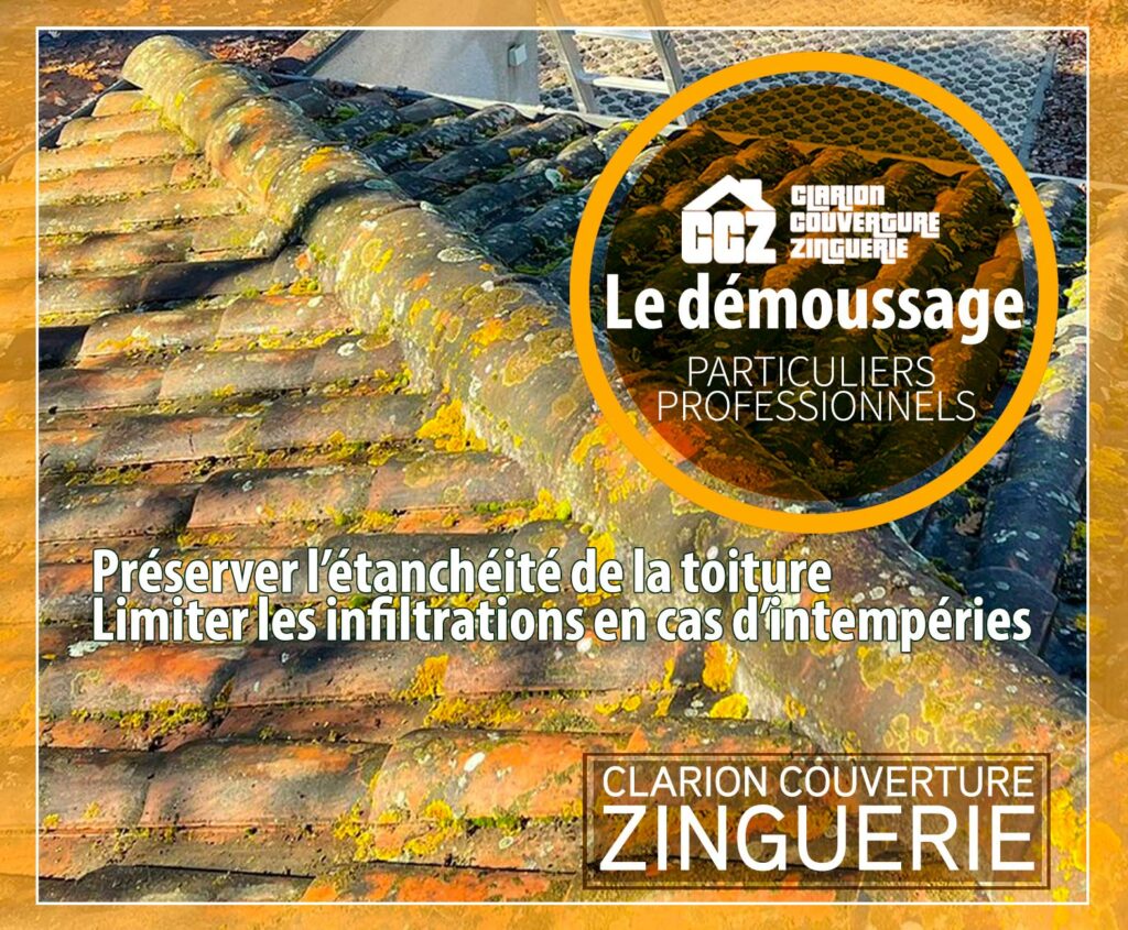démoussage de la toiture de votre habitation sur Toulouse et l'Occitanie particuliers et professionnels