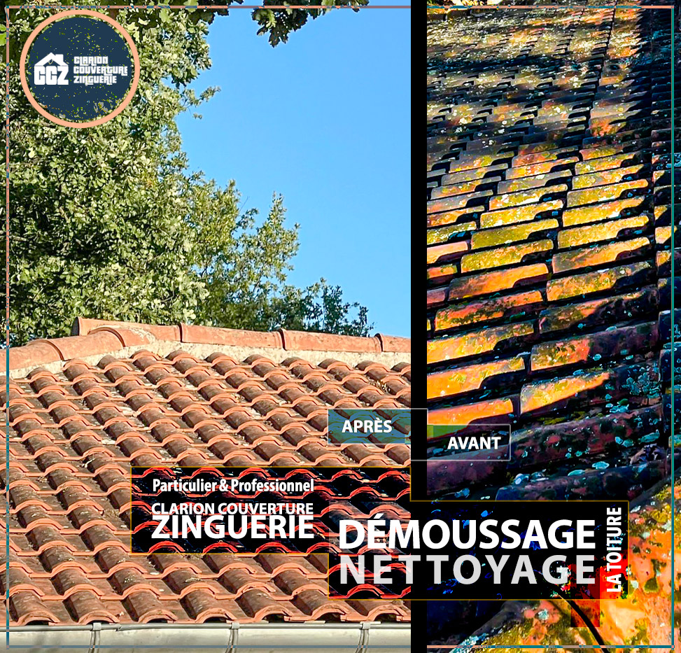 démoussage de la toiture de votre habitation sur Toulouse et l'Occitanie travaux et entretiens de zinguerie couverture Clarion Couverture Zinguerie Toulouse