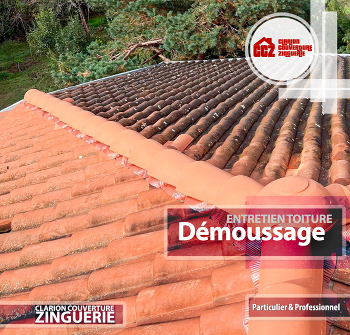 Opération de démoussage ! Pensez-y, la période est propice à l'entretien de votre toiture avec une intervention de démoussage. sur Tournefeuille, Cornebarrieu, Blagnac, Colomiers, Beauzelle, Pibrac, Saint-Martin du Touch, Larra